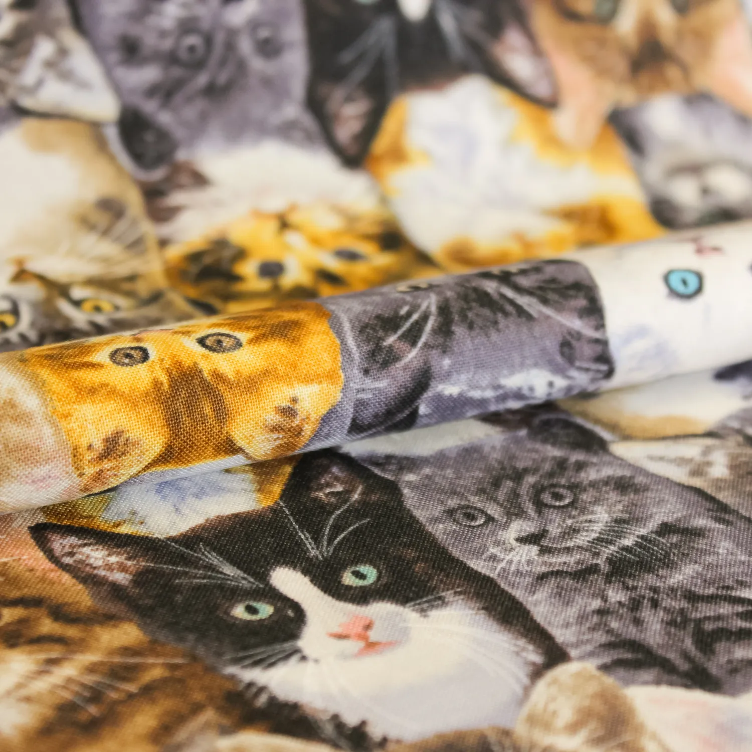 Katoen multicolor met katten